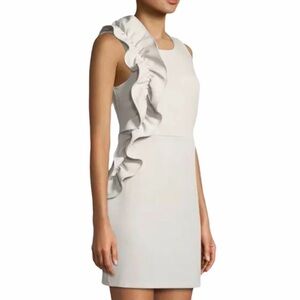 Free Generation Los Angeles Women’s Small Ruffle Front Sleeveless Taupe Sheath